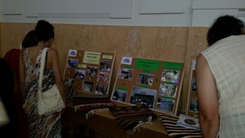 proiect3
