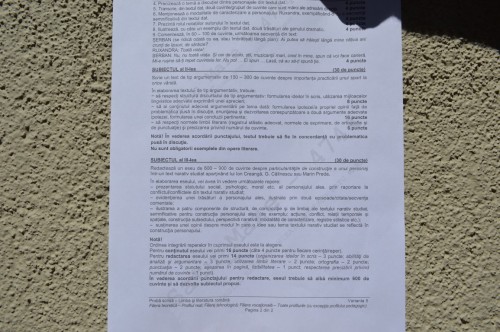 subiecte4
