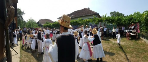 dant1