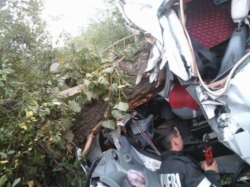 accident2