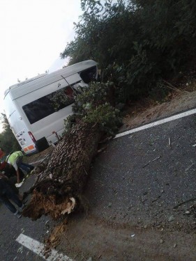 accident3
