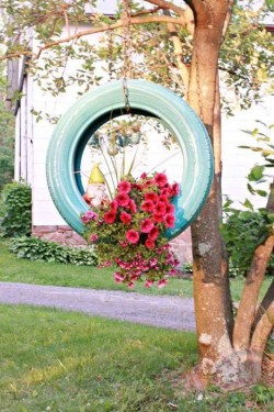 gradina7