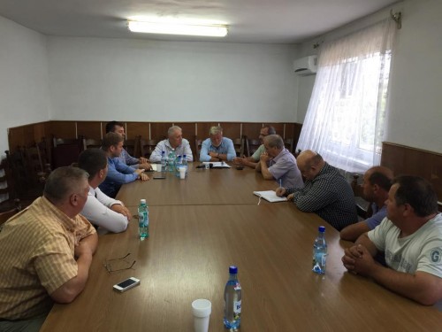 poza turt tarsolt