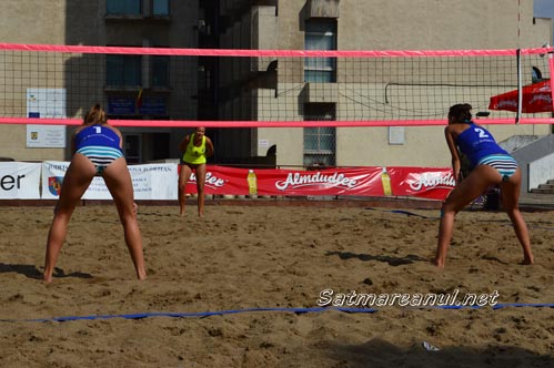 volei6