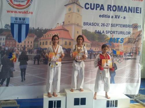 Ari Cupa romaniei