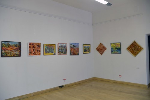 Expo Carei4