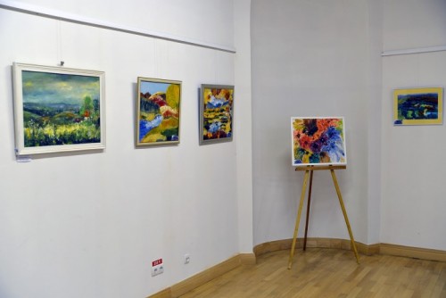 Expo Carei6