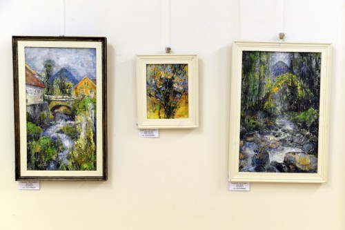 Expo Carei8