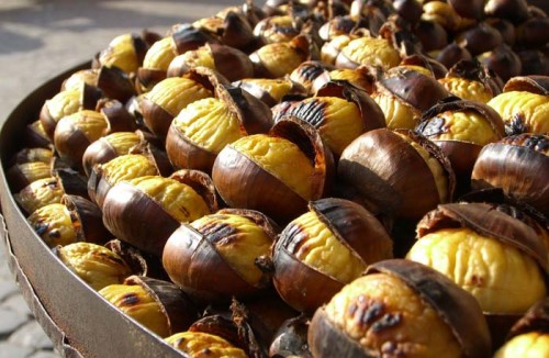 castane-comestibile