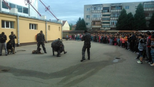 demonstratie2