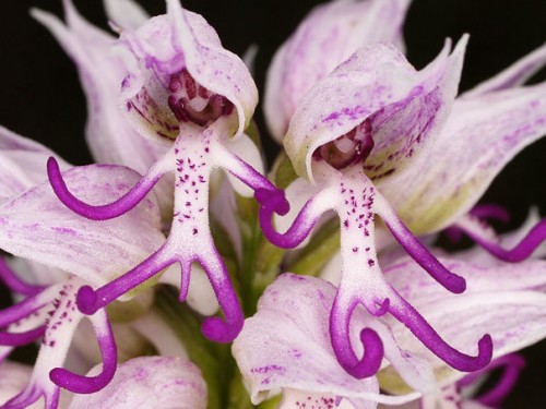 natura3