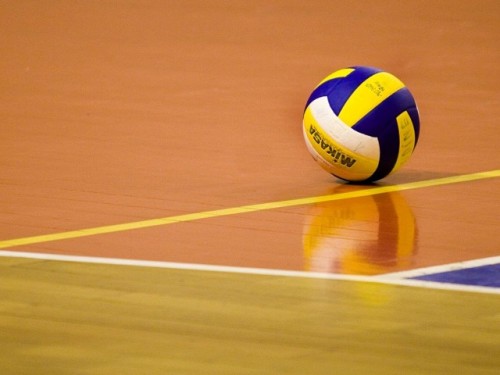 volei