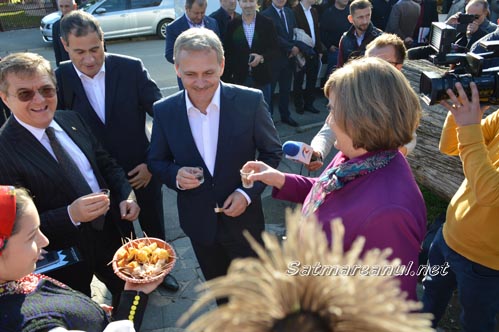 PSD11