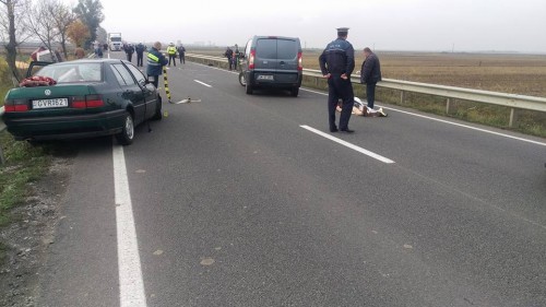 accident4