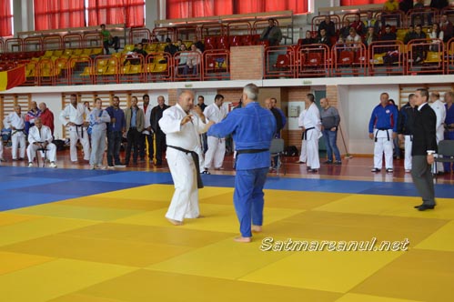 judo13