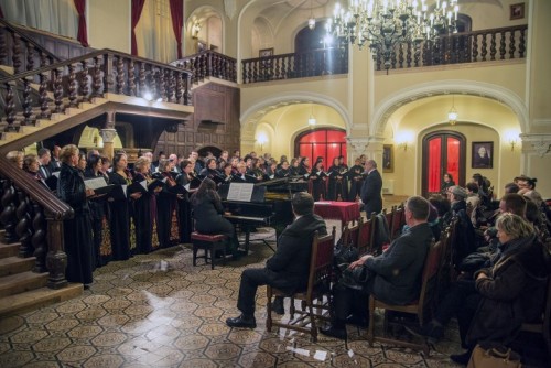 Concert Carei1