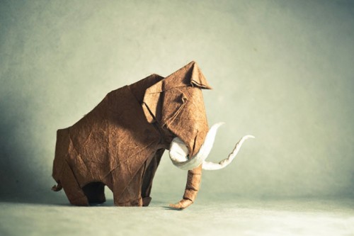 Origami5