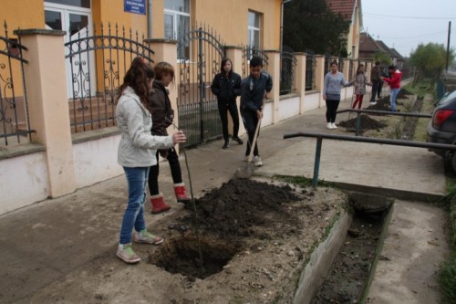 plantari5
