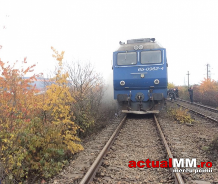tren1