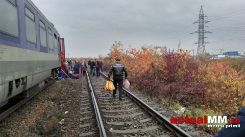 tren6