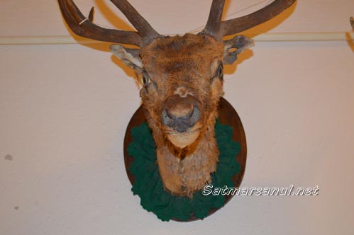 trofee6