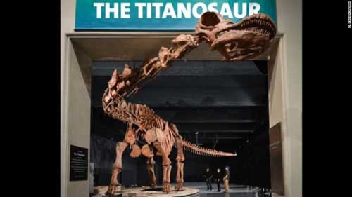 dinozaur2