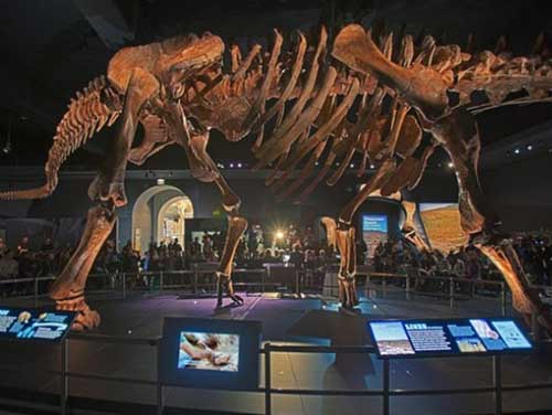 dinozaur3