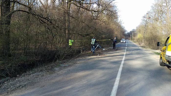accident5