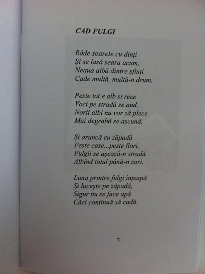 carticica3