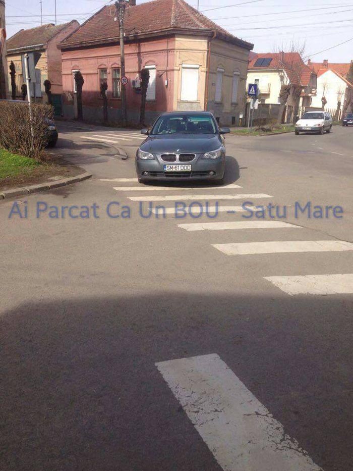 parcare7