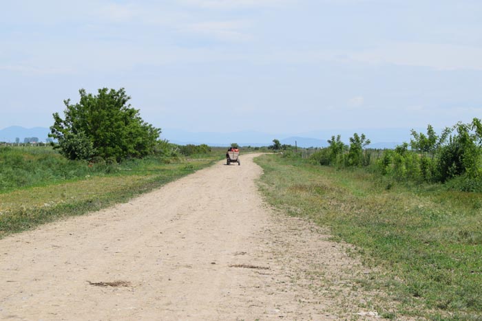 drumuri_agricole_25_may_2016_81599