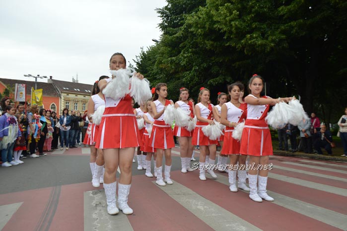 parada15