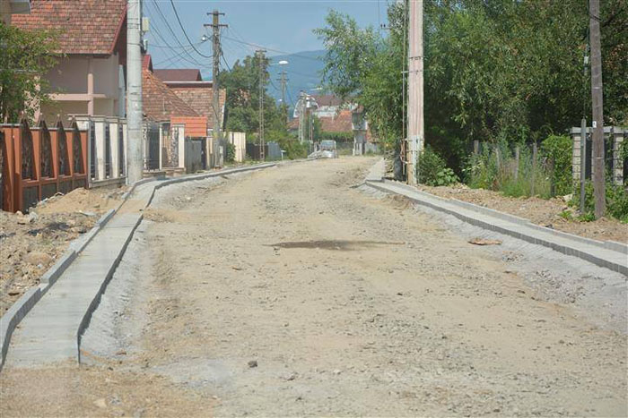 Strada Borcutului1