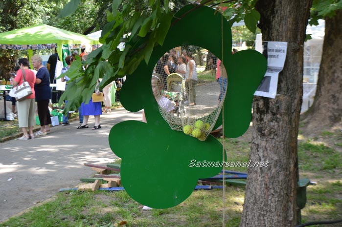 Ziua Diecezei10