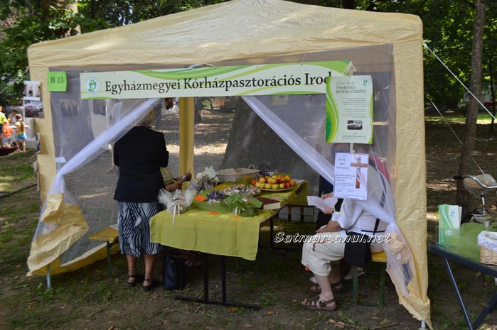 Ziua Diecezei8