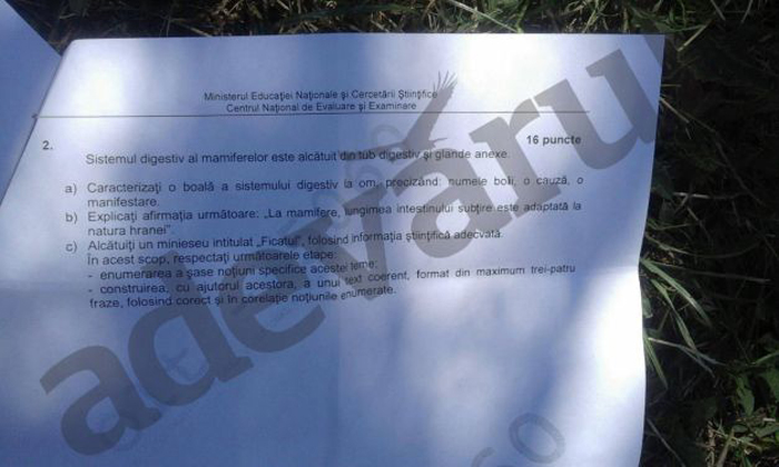 biologie vegetala3