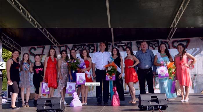 Viile Satu Mare