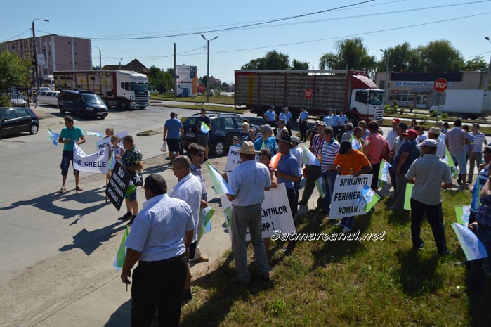 protest11