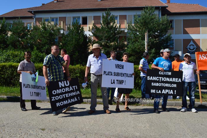protest3