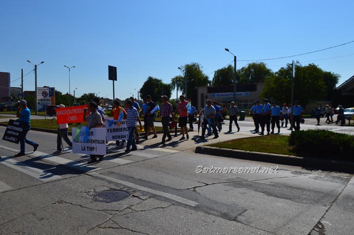 protest8