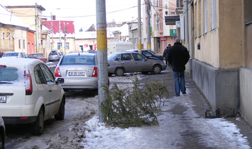 Cine-o pus bradu’ în drum?