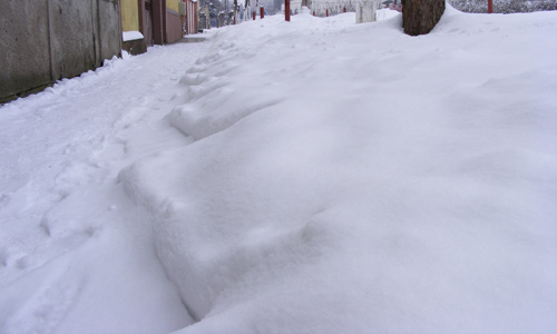 Satu Mare aproape dalb (fotoreportaj)
