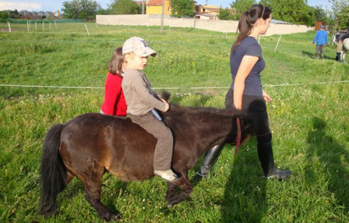 Înghesuială la cursurile gratuite de călărie