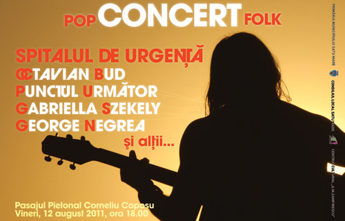 Concert pop-folk în pasajul “Coposu”