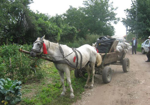 Amenzi în valoare de 2.000 lei pentru împrăştierea deşeurilor