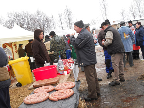 38 de porci, sacrificaţi sâmbătă pe altarul festivalului de la Turulung