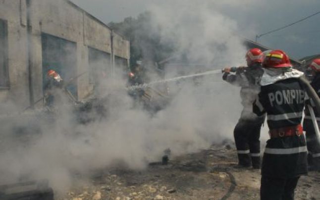 2.200 de porci au ars într-un incendiu la Andrid