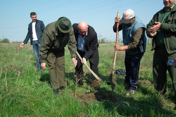 Primarul Dorel Coica a plantat puieţi de stejar în Parcul Industrial