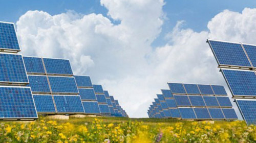 La Livada se construieşte unul din cele mai mari parcuri fotovoltaice din lume