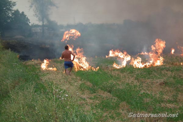 Când prostia ia foc
